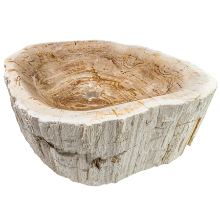 Novatto Petrified Fossil Wood Vessel Sink, Irregular Shape and Color NOSV-FW